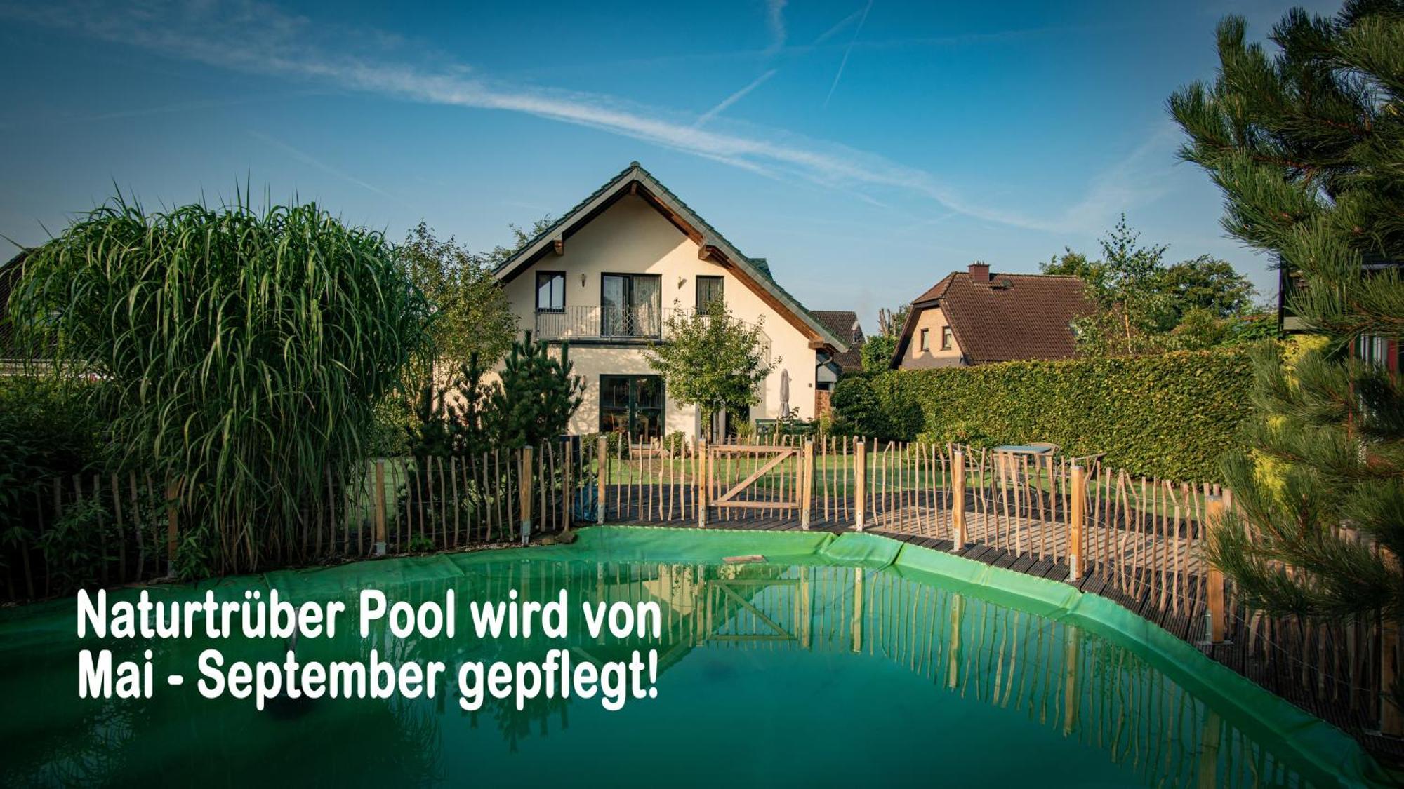 Ferienhaus Mountfrosch Mit Sauna Und Naturpool Monschau Exterior photo